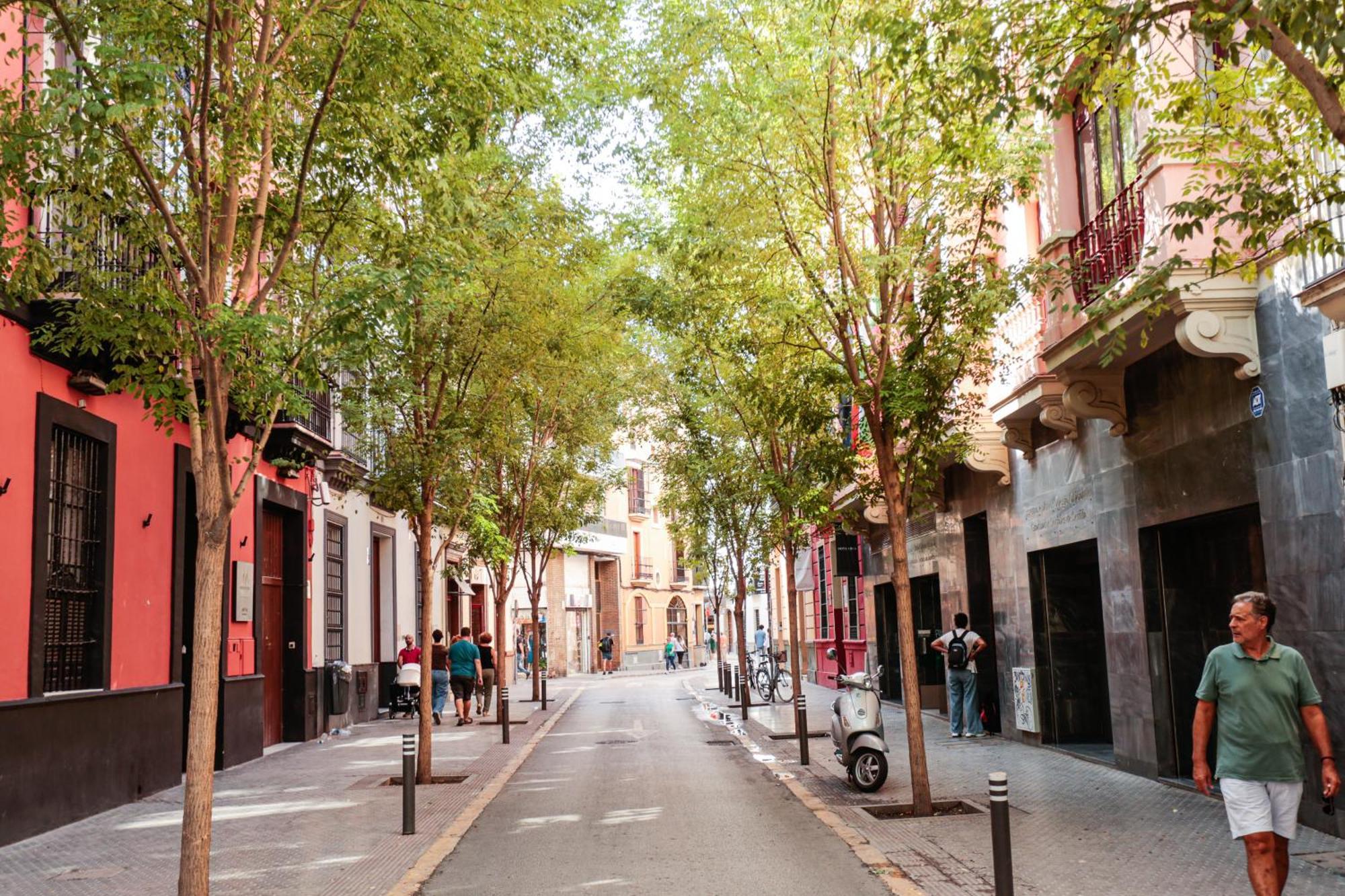 Monkeys Cervantes Appartement Sevilla